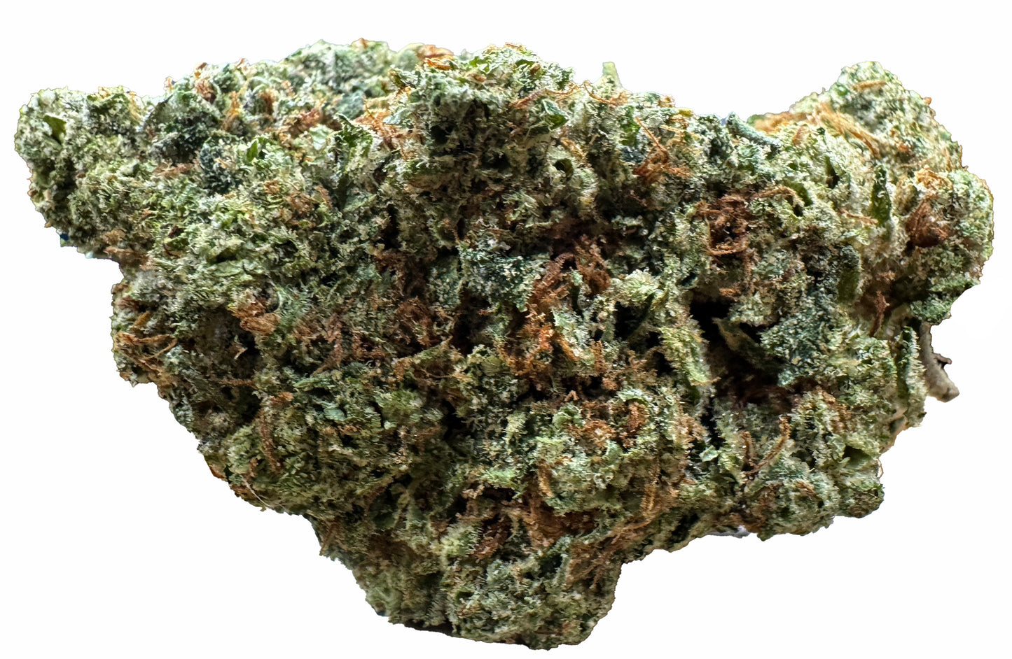 Dabbing Bear OG