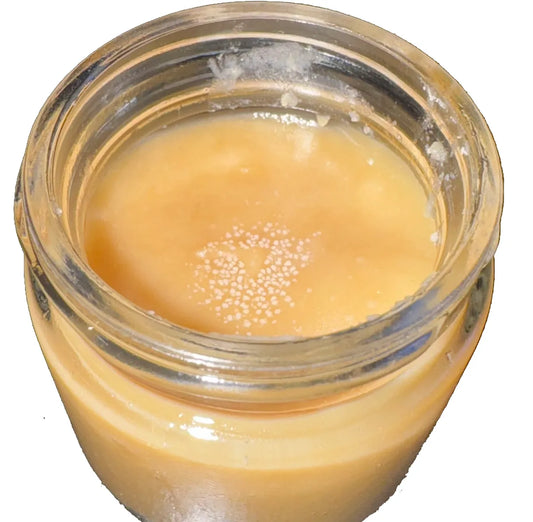 Jar of Rare Bear Genetics Live Resin Hash Rosin pre-production and weight. Creamy orange color with thick batter consistency.