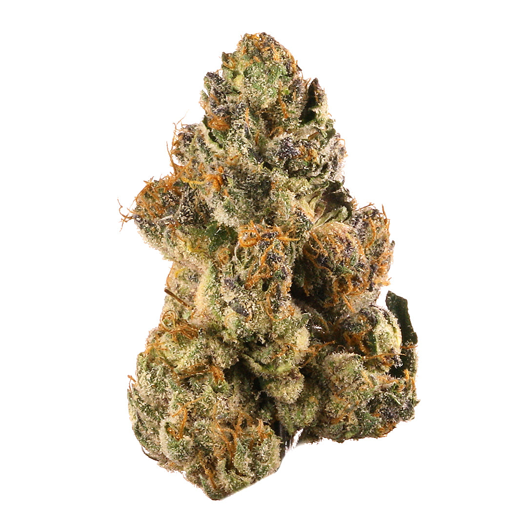 Gelato Kush