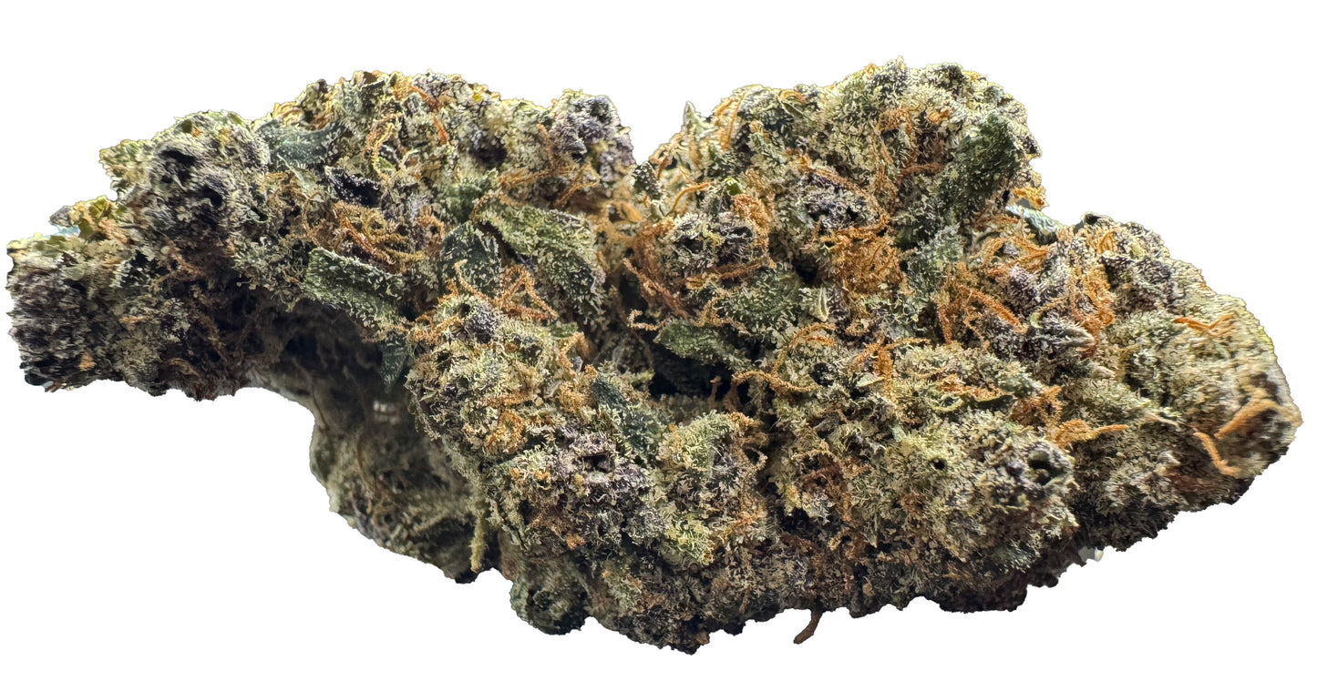 Royal Tangie