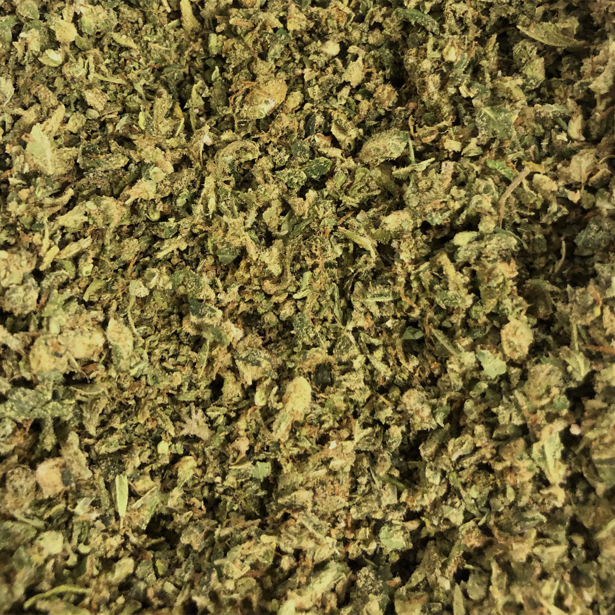 STRAINS VARY * NOT SPECIFIC STRAIN IMAGE