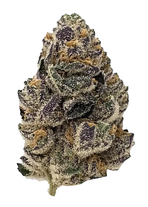 Girl Scout Gelato