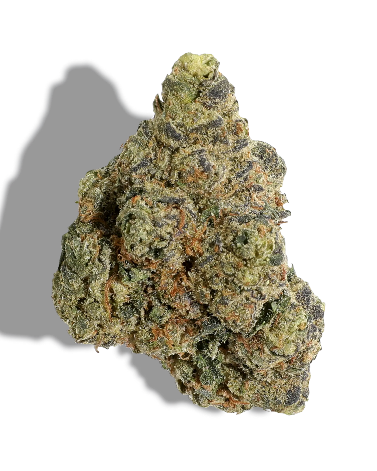 Gelato Dream