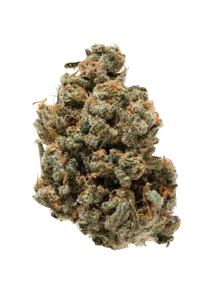 Jack Herer
