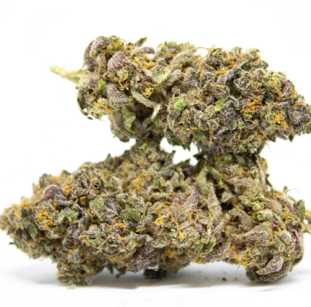 Royal Sour