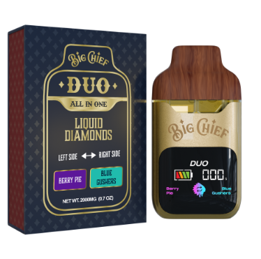 Big Chief Duo All in One