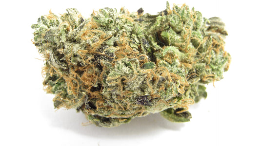 Blue Zushi buds, medium density with thick orange hairs, heavy trichomes and buds featuring green and purple leaves.