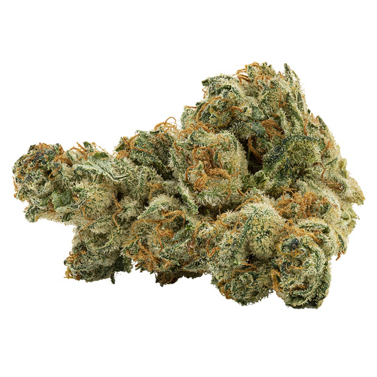 Picture of Holy Gelato cannabis strain featuring  a  sprawling and bright green with orange leaves with crystal resin outercoat