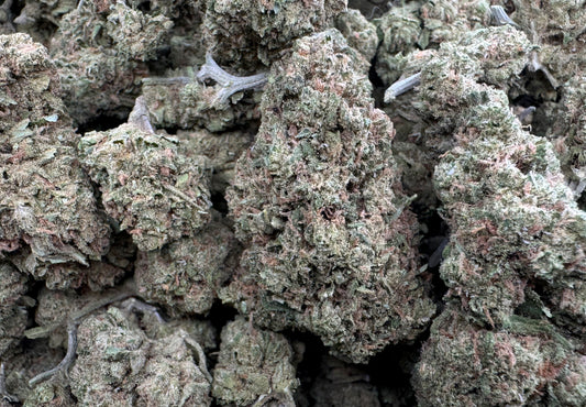 Bargain Bag 14 g 1/2 OZ.