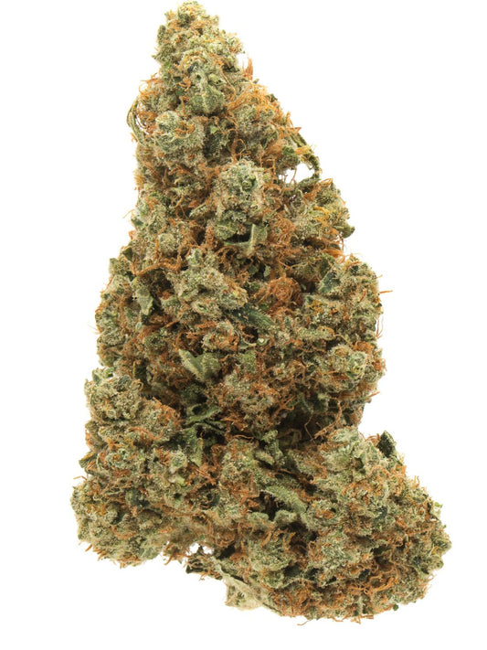 Sensi Star