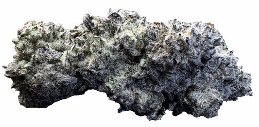 Silver Tsunami