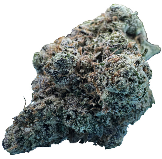 Tahoe Alien